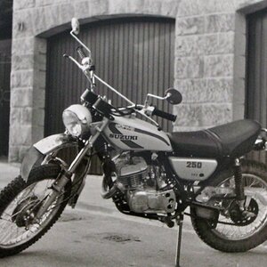 Suzuki TS 250   1