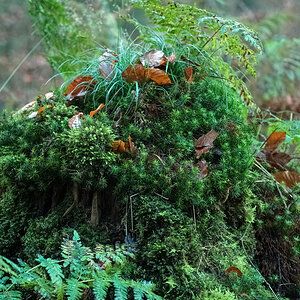DSCF7168 Bearbeitet