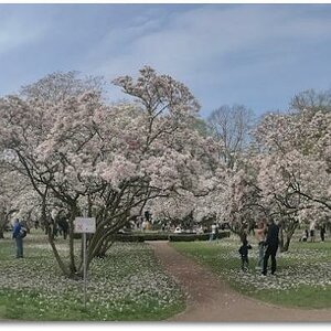 IMG 20180415 125012
Huawei P10 Panorama