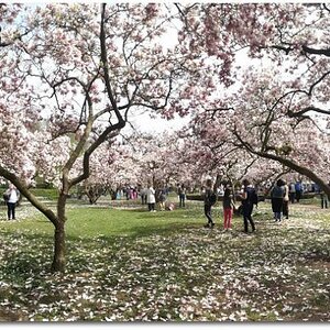 IMG 20180415 132339
Huawei P10 Panorama