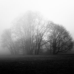 20180107 113125 nebel alb