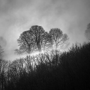 20180107 122448 nebel alb