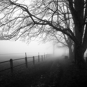 20180107 130454 nebel alb 4