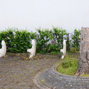 konsequent