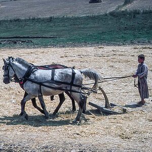 IMG 027