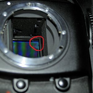 Sensor