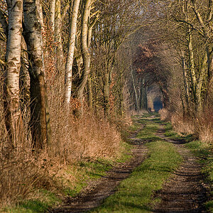 Moorweg