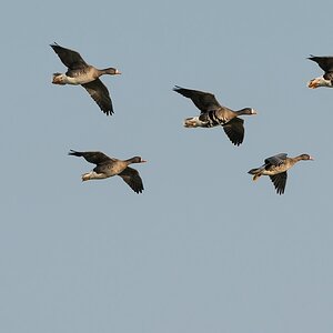 comp 20180114 DSC 20211