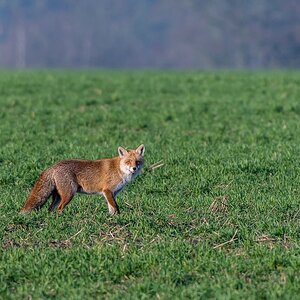 comp 20180114 DSC 20881