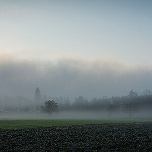 nebel