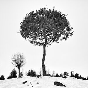 20180225 171037 a a
