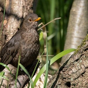 D50 1922 Begegnung IA 5 2017