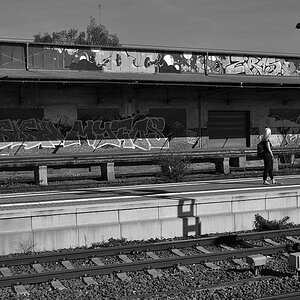 DSC 0003sw