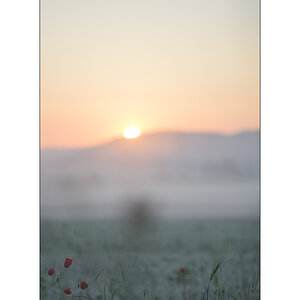 MorgenPZ1 6809