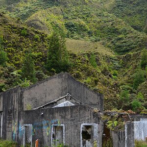 DSC 5338 01