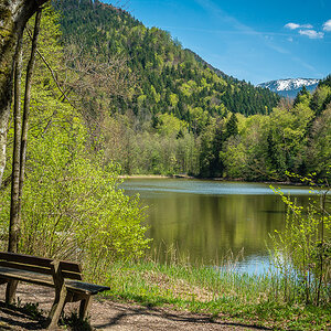Schlossweiher