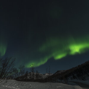 Polarlicht (6)