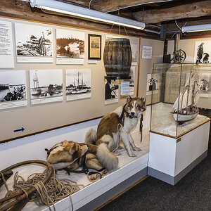 Polarmuseum 4