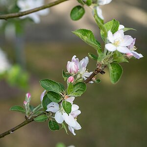 comp PIC03 21.04.2018