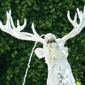 Brunnen