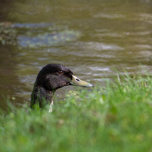 DSC9913