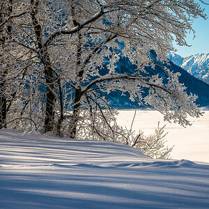 verschneiter Sylvensteinsee