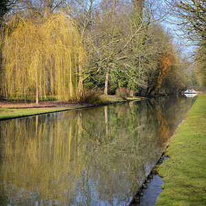 Schwetzingen schlosspark 06 1200