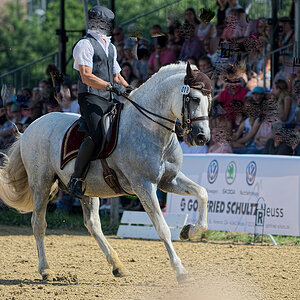 DSC 3099 v1k