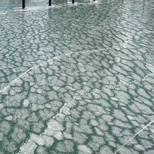 Eisformation im Yachthafen