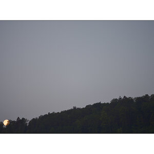 MorgenPZ1 7130