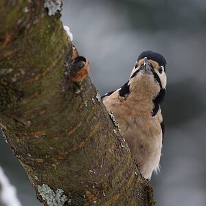 DSC 2026