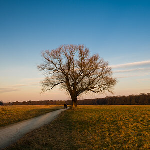 NF Bilder Feb 1