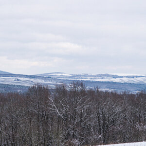 D75 4583 stitch
