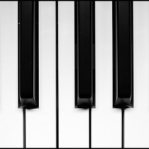 Ebony And Ivory