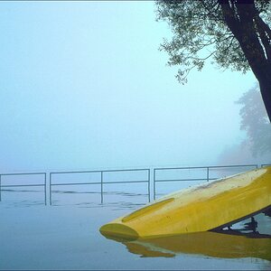 comp Boot an Baum Kodachrome