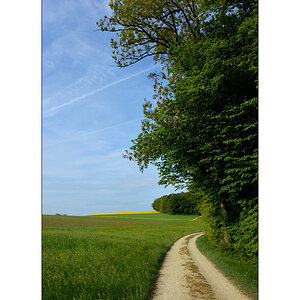 MorgenDSC 7971