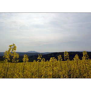 MorgenDSC 7975