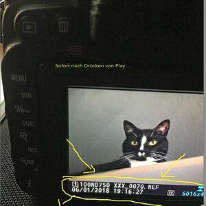 [No title]