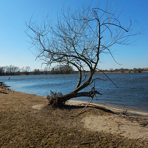 Natur.1.nf