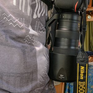 comp 20180530 DSC 75341