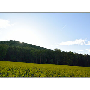 MOrgenDSC 7981