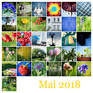 365-Tage-Projekt Mosaik Mai 2018
