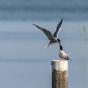 comp 20180531 DSC 31461