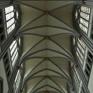 DSC 0037