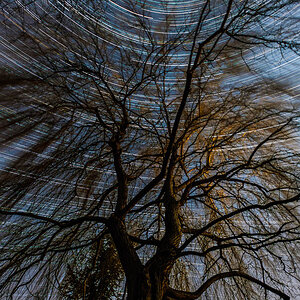 Startrails