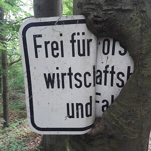 Baum frisst Schild