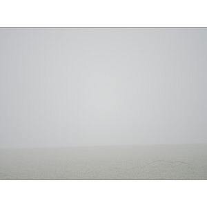 MorgenPZ1 5985
