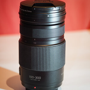 Panasonic 100-300mm F4.0-5.6 II