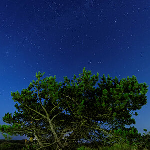 ISO: 1600
f: 4,5
14mm
Nordsee