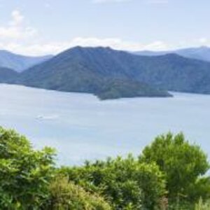 Marlborough Sounds NZ